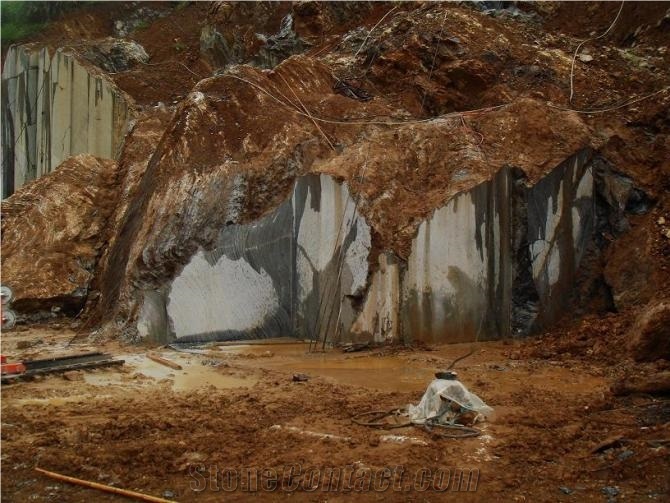Tree Black (Black Wooden Marble) Quarry
