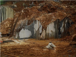 Tree Black (Black Wooden Marble) Quarry