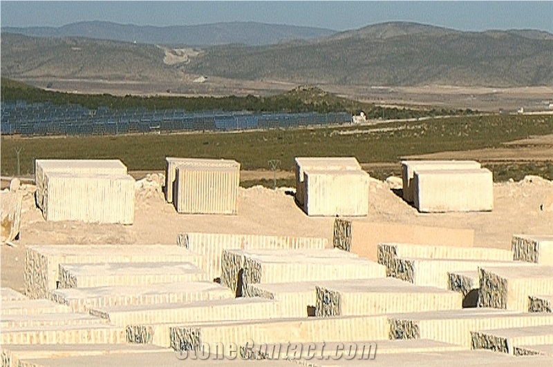 Amarillo Fosill - Arenisca Fossil Sandstone Quarry