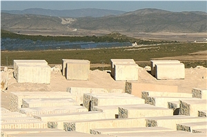 Amarillo Fosill - Arenisca Fossil Sandstone Quarry
