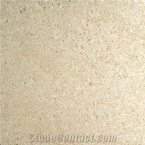 Amarillo Fosill - Arenisca Fossil Sandstone Quarry