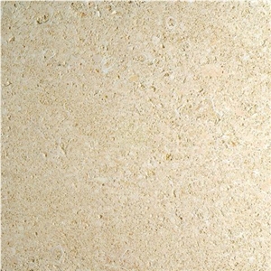 Amarillo Fosill - Arenisca Fossil Sandstone Quarry