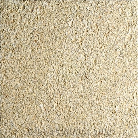 Amarillo Fosill - Arenisca Fossil Sandstone Quarry