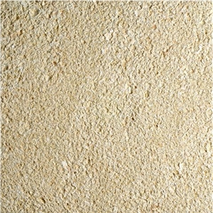 Amarillo Fosill - Arenisca Fossil Sandstone Quarry
