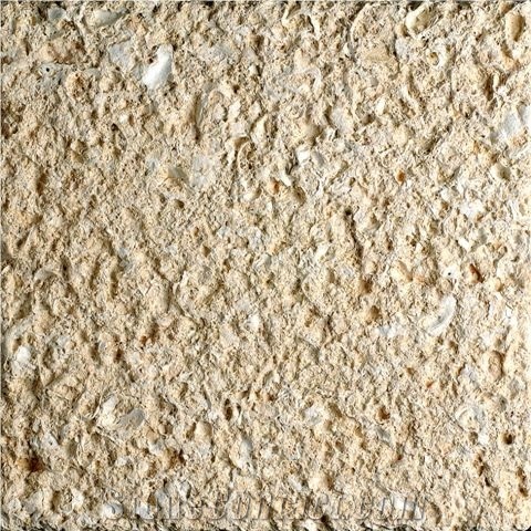 Amarillo Fosill - Arenisca Fossil Sandstone Quarry