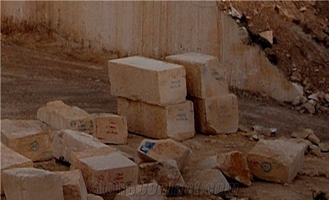 Amarillo Fosill - Arenisca Fossil Sandstone Quarry