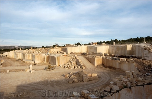 Amarillo Fosill - Arenisca Fossil Sandstone Quarry
