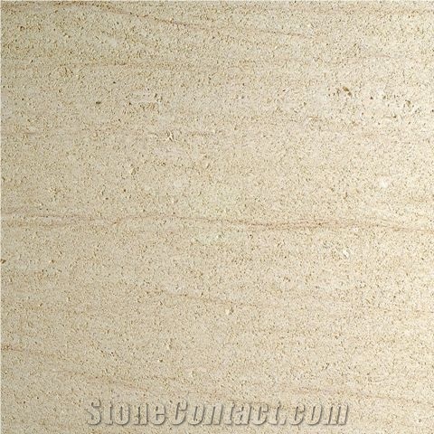Amarillo Fosill - Arenisca Fossil Sandstone Quarry