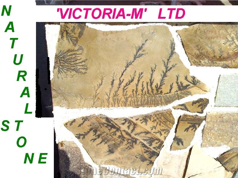 Mandra Bair Fossil Stone Quarry