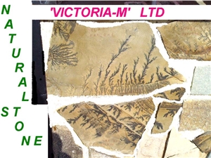 Mandra Bair Fossil Stone Quarry