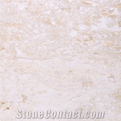 CORALDOM - Classic Coral Stone Quarry