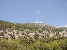 Virgin Beige Marble Quarry