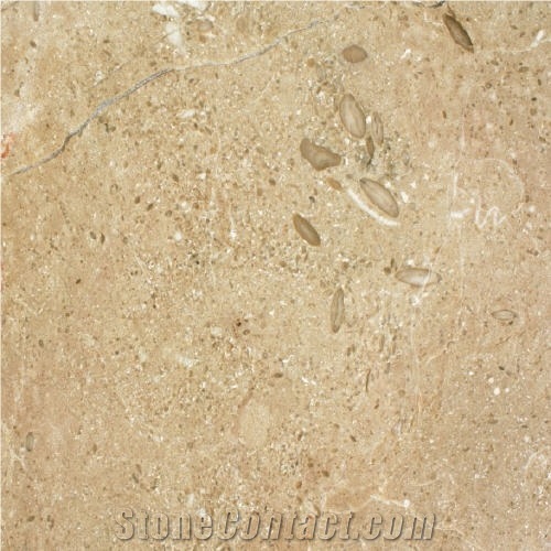 Beige Dalmatia Limestone Sedramic Quarry