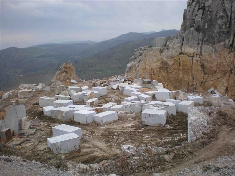 Gortynis Grey Marble