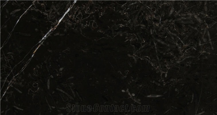 Black Magic Marble Quarry - General