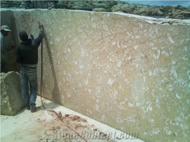 Shells Reef Caramel Limestone Quarry
