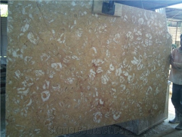 Shells Reef Caramel Limestone Quarry