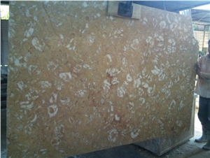 Shells Reef Caramel Limestone Quarry