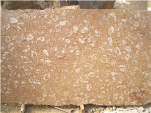 Shells Reef Pink Limestone Quarry