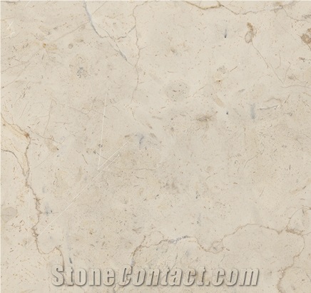 Zena Quarry - Jerusalem Gold Limestone (Halila Gold Limestone)