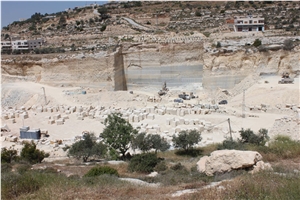 Zena Quarry - Jerusalem Gold Limestone (Halila Gold Limestone)