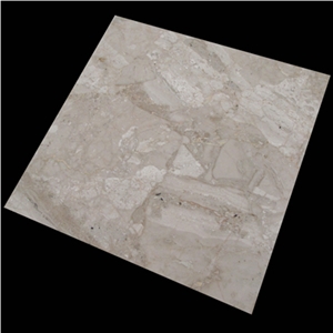 Carnis (Breccia-Special)