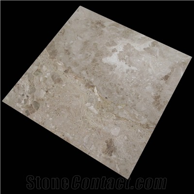 Carnis (Breccia-Special)