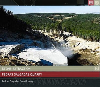 Cinzento de Pedras Salgadas Own Quarry