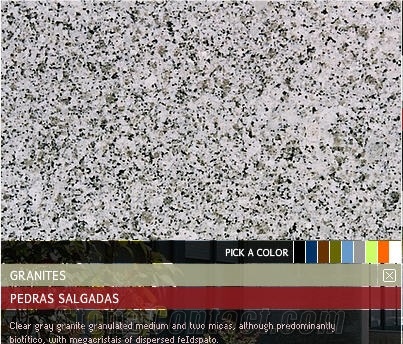 Cinzento de Pedras Salgadas Own Quarry