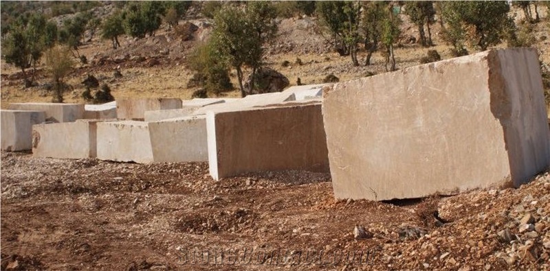 Fossil Beige Marble Elbistan Quarry