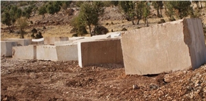 Fossil Beige Marble Elbistan Quarry
