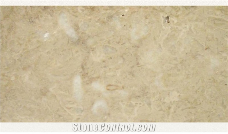 Fossil Beige Marble Elbistan Quarry