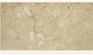 Fossil Beige Marble Elbistan Quarry
