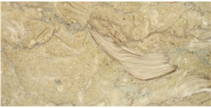 Fossil Beige Marble Elbistan Quarry