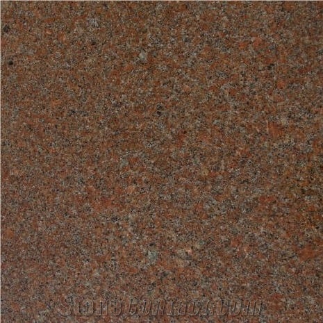 Red Bohus EGC