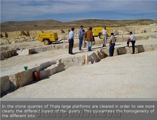Royal Thala Limestone Quarry