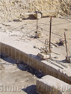Floresta Vinaixa