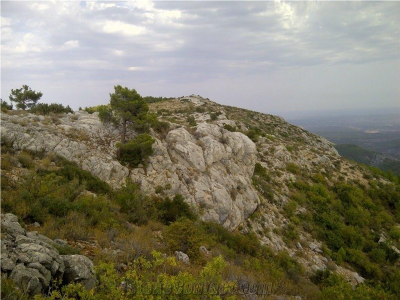 Emperador Olive Silifke Quarry