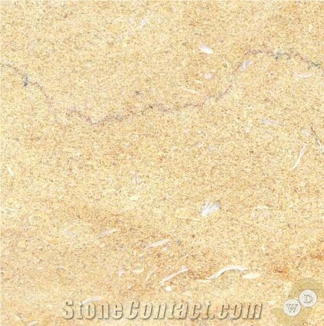 Jerusalem Limestone, Jerusalem Shelly Limestone Quarry