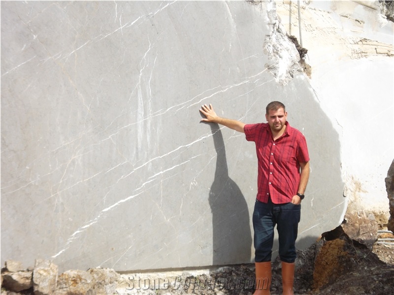 Olivium Grey Marble Quarry