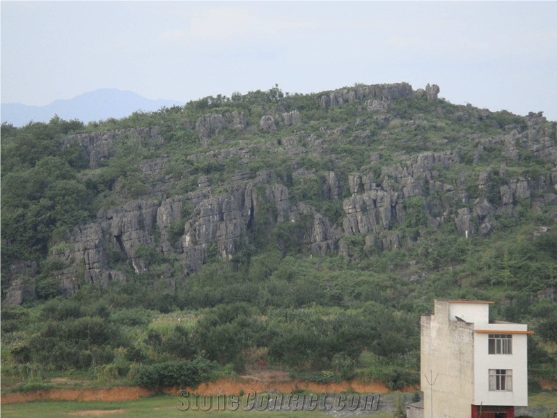 China Nero Marquina Marble Quarry
