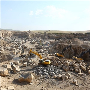Basalt Aramus