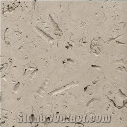 Portland Stone Quarry (Jordans Basebed Limestone)