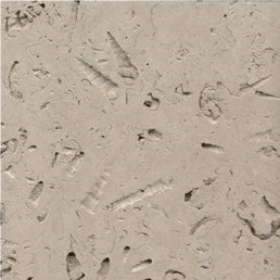 Portland Stone Quarry (Jordans Basebed Limestone)