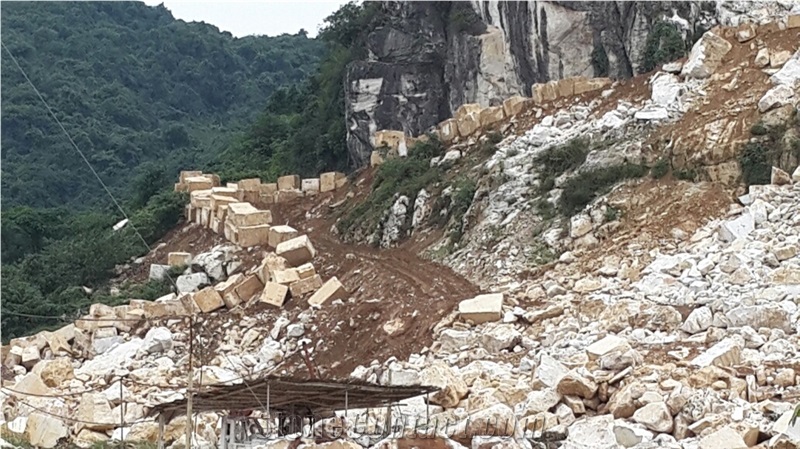 Wood Vein Marble Quarry