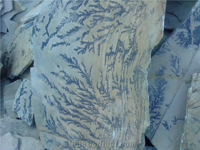Mandra Bair Fossil Stone Quarry