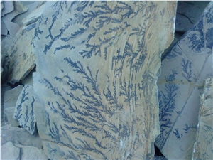 Mandra Bair Fossil Stone Quarry