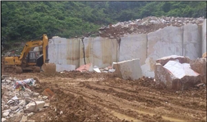 China Gray Flower Marble Quarry