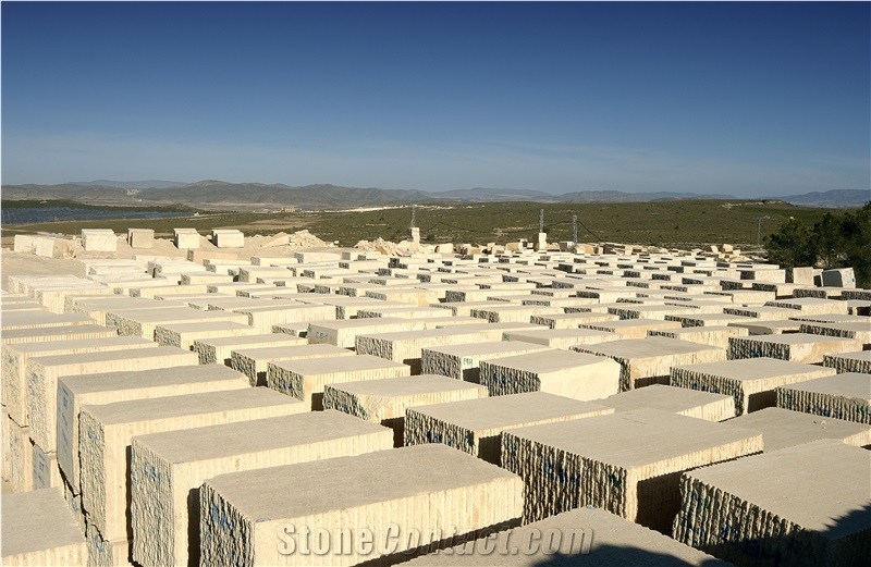 Amarillo Fosil - Yellow Fossil Limestone Quarry