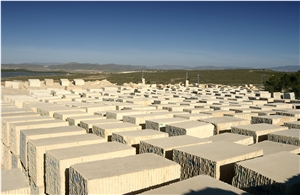 Amarillo Fosil - Yellow Fossil Limestone Quarry